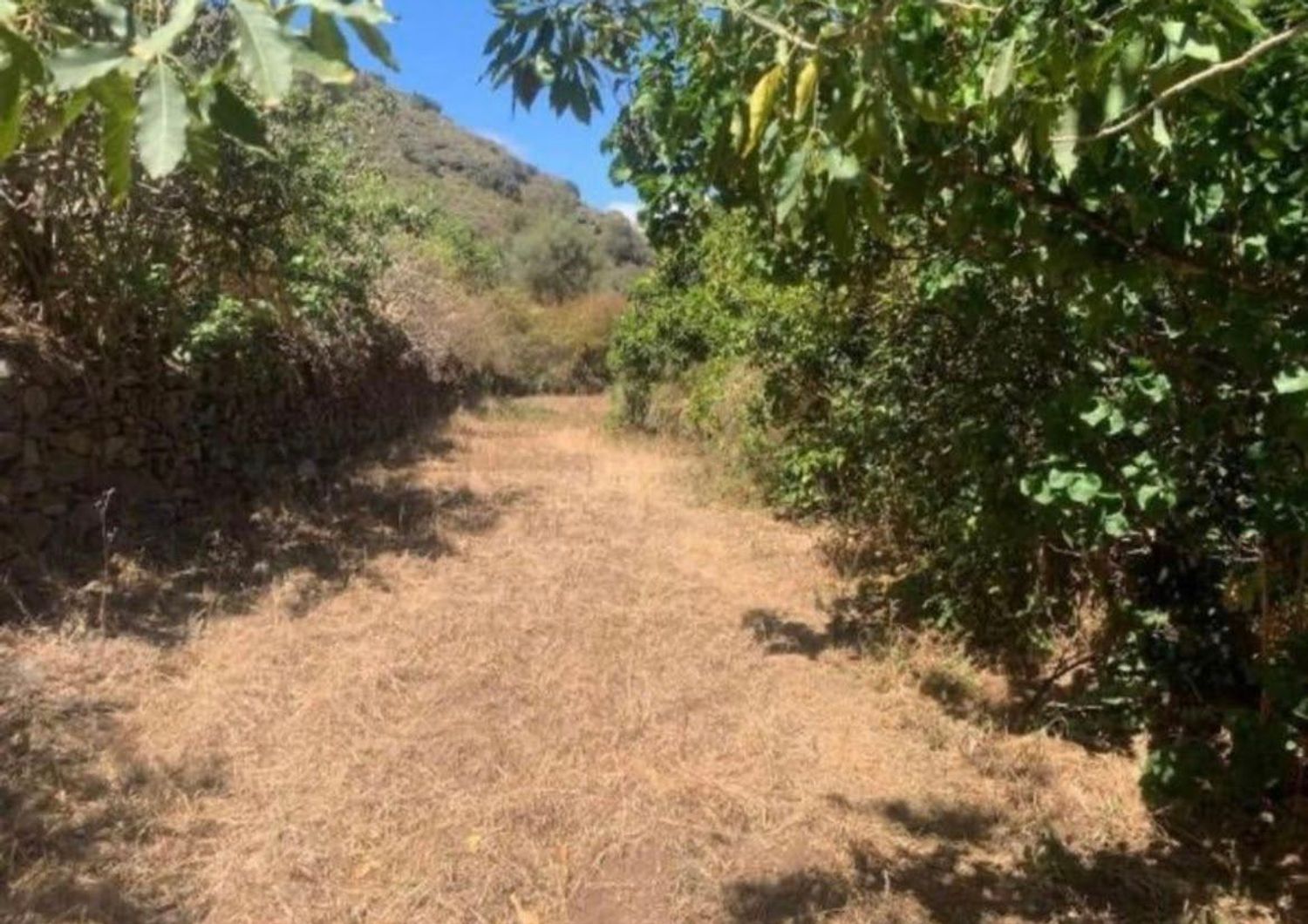 Terrenos en Palmas de Gran Canaria, Las, San Lorenzo — imagen 6