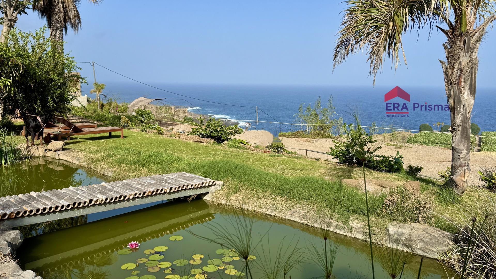 Casas rústicas en Buenavista del Norte, Buenavista del norte pueblo tenerife — imagen 5