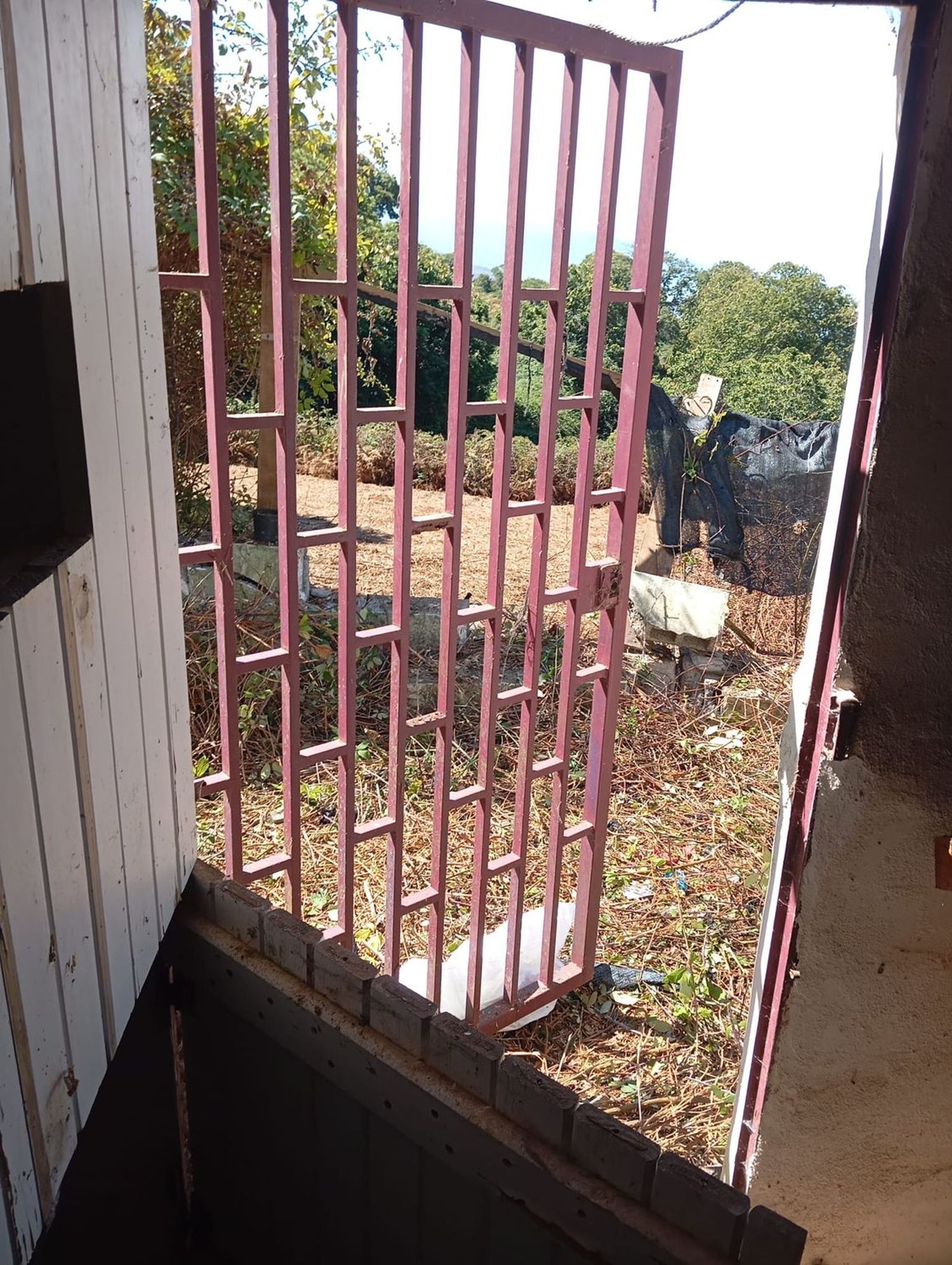 Terrenos en Matanza de Acentejo, La — imagen 6