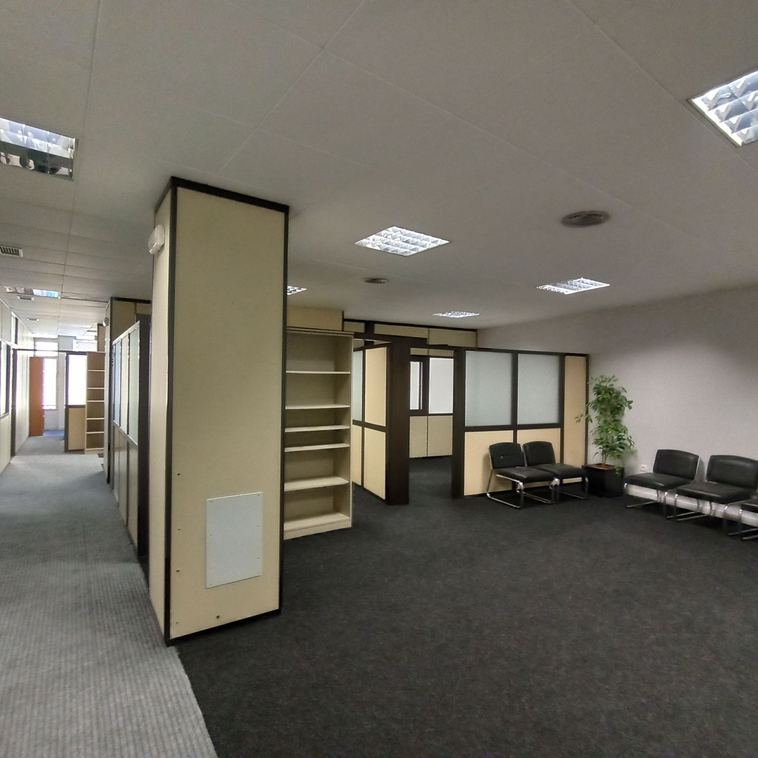 Oficinas en Puerto de la Cruz — imagen 6
