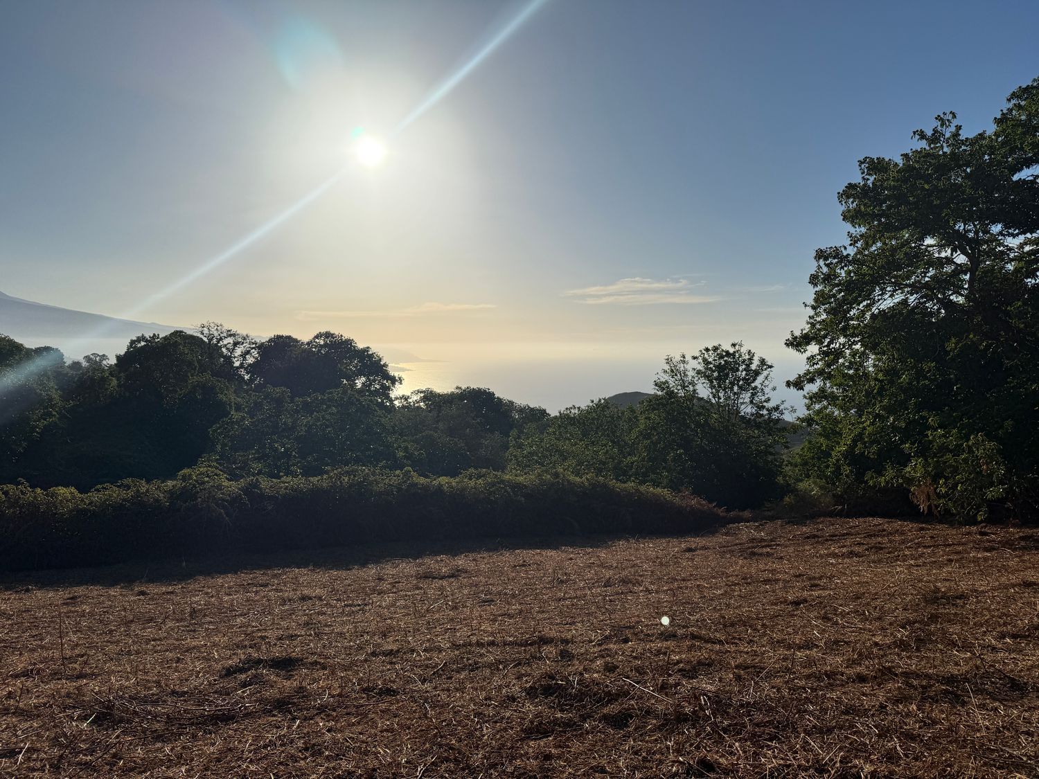 Terrenos en Matanza de Acentejo, La — imagen 17