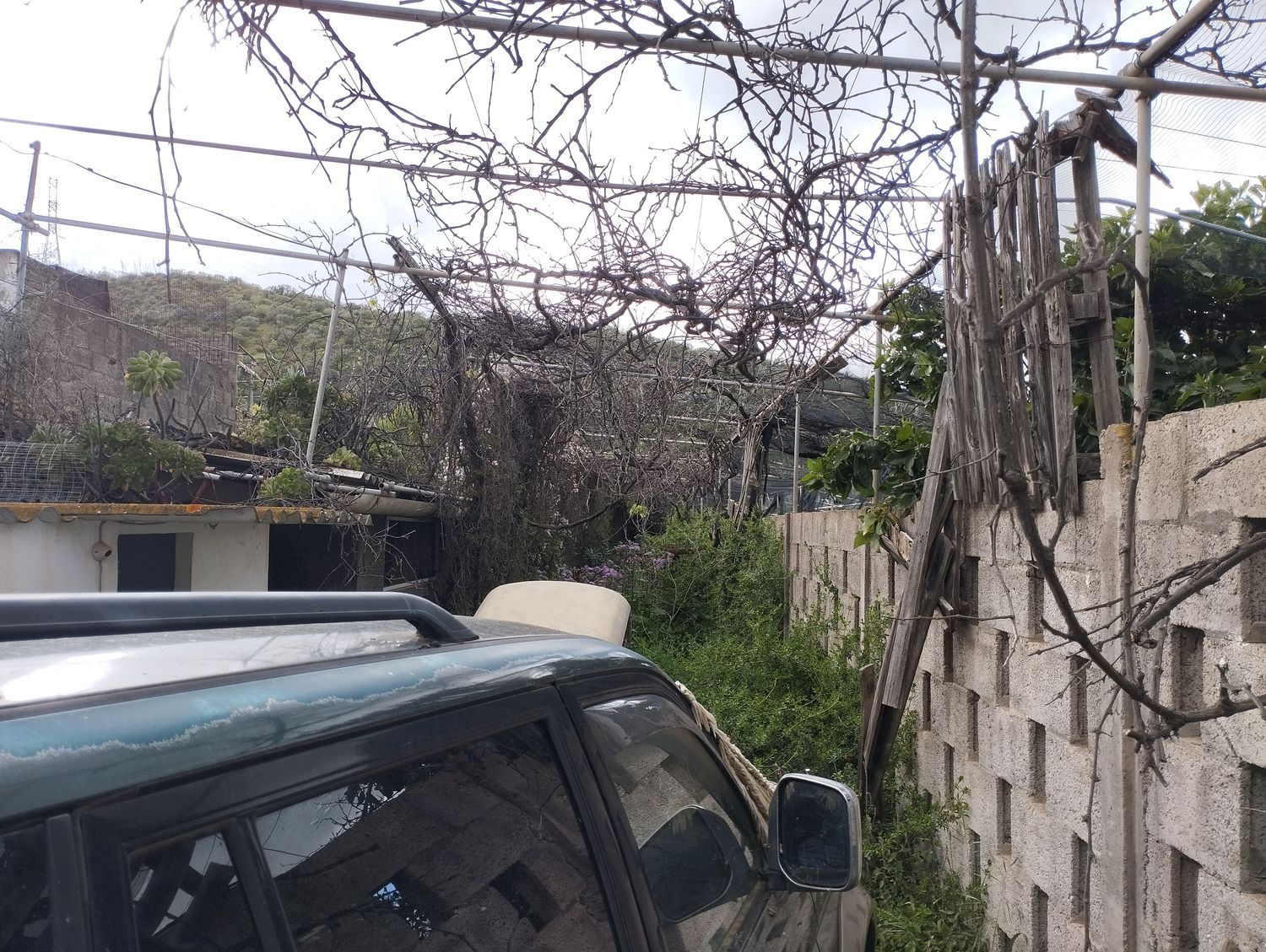 Terrenos en Telde — imagen 32