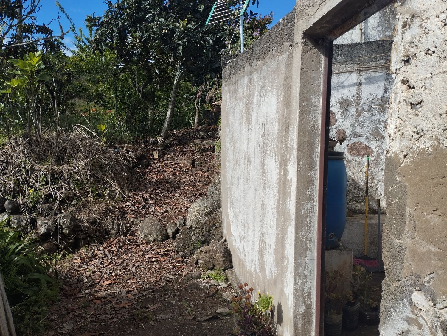 Terrenos en Moya — imagen 40