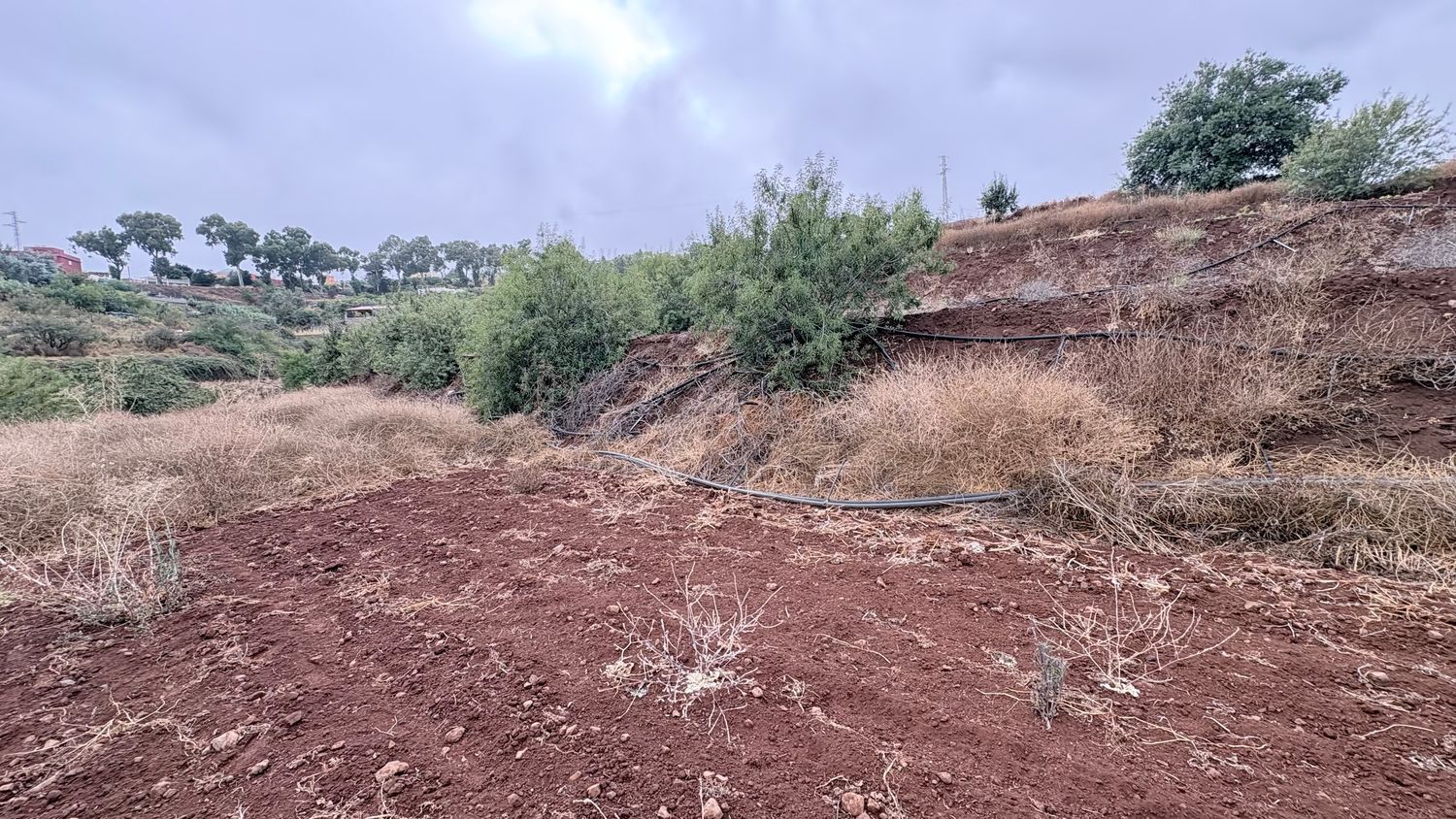 Terrenos en Vega de San Mateo — imagen 5