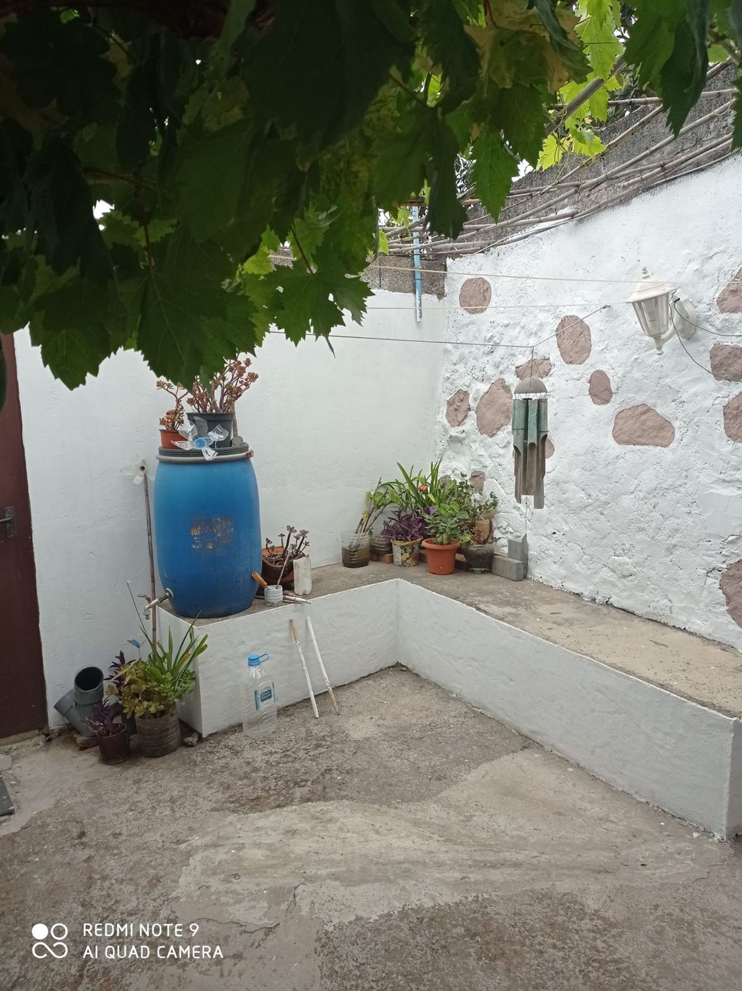 Terrenos en Moya — imagen 66