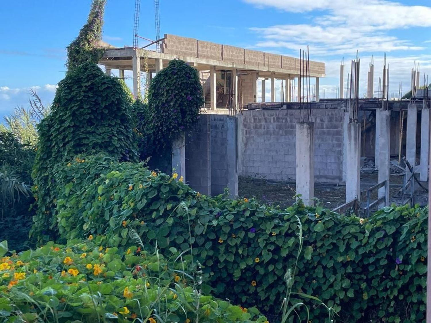Terrenos en Firgas — imagen 5
