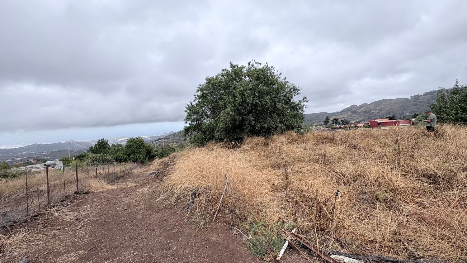 Terrenos en Vega de San Mateo — imagen 18