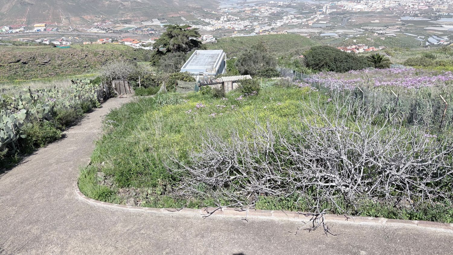Casas rústicas en Gáldar — imagen 21