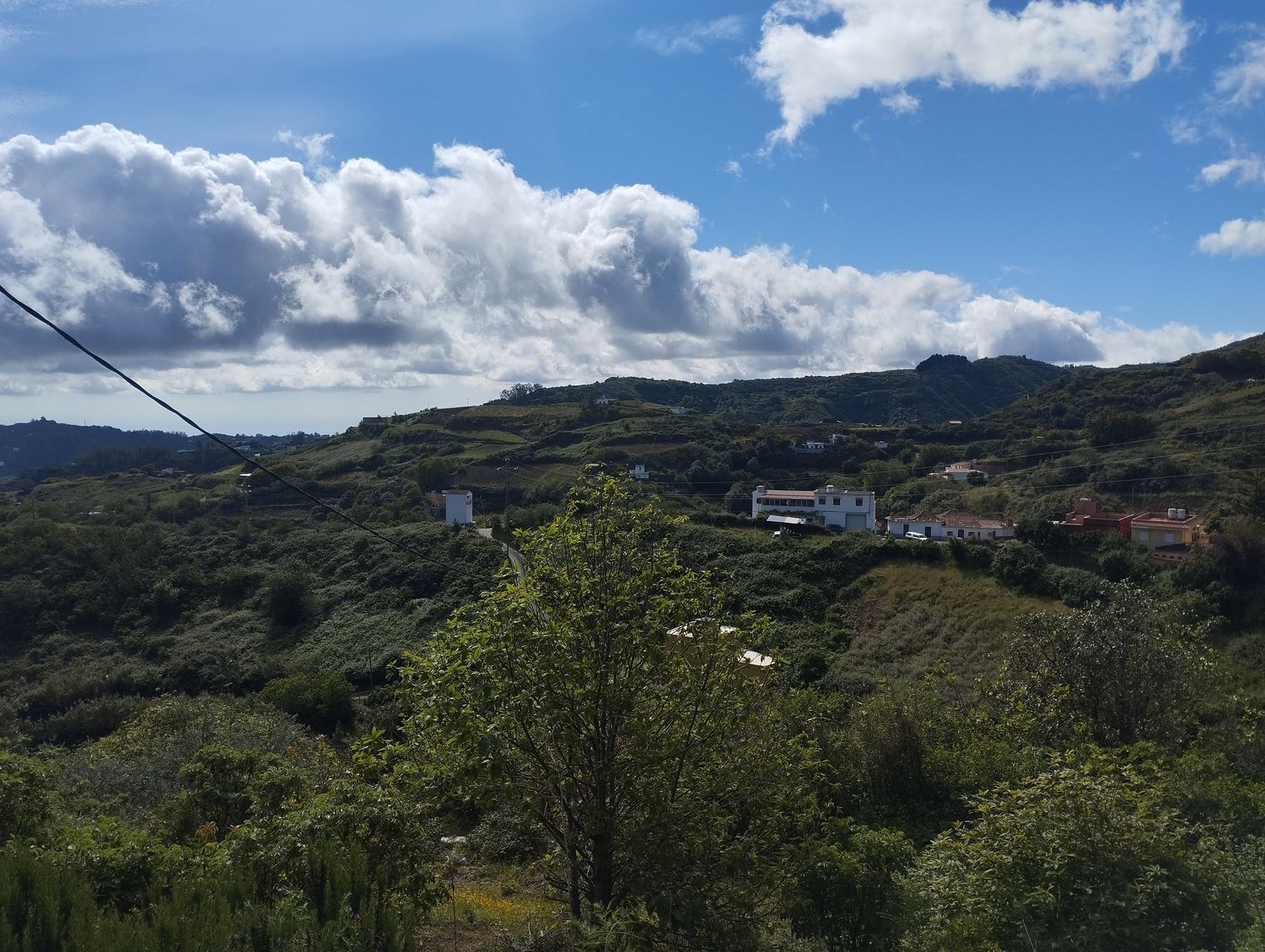 Terrenos en Moya — imagen 39