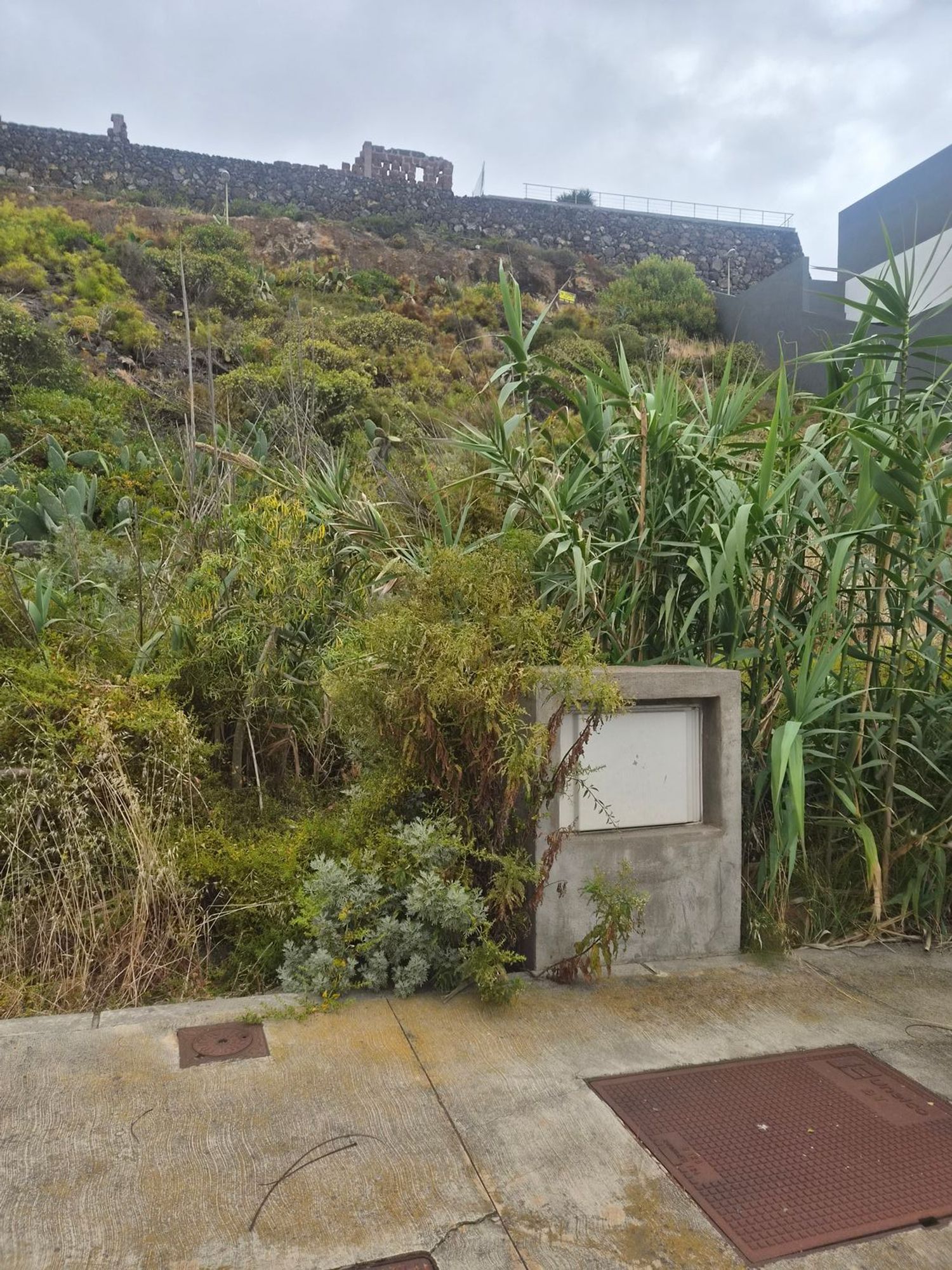 Terrenos en Garachico — imagen 6