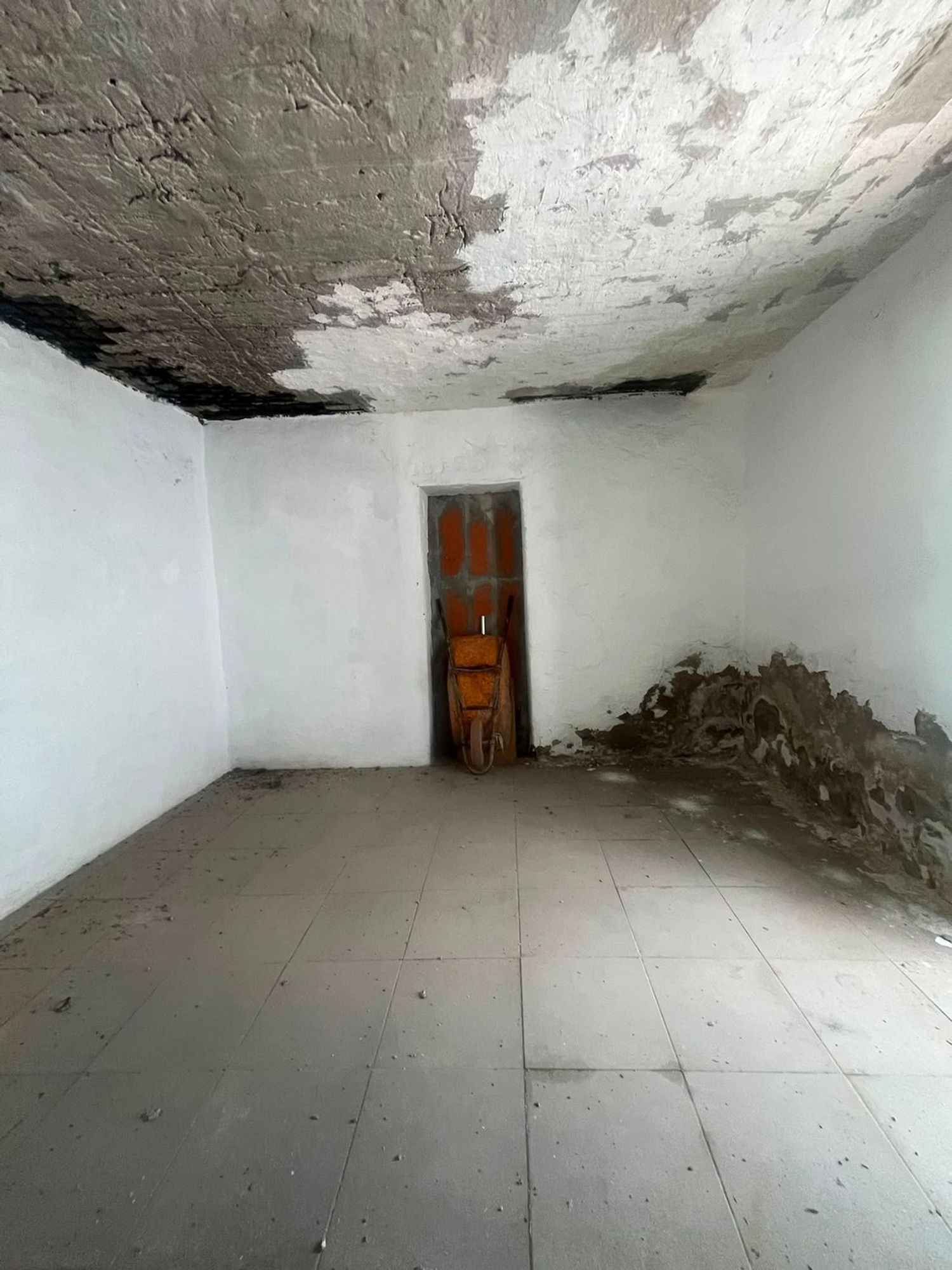 Independientes en Mogán — imagen 9