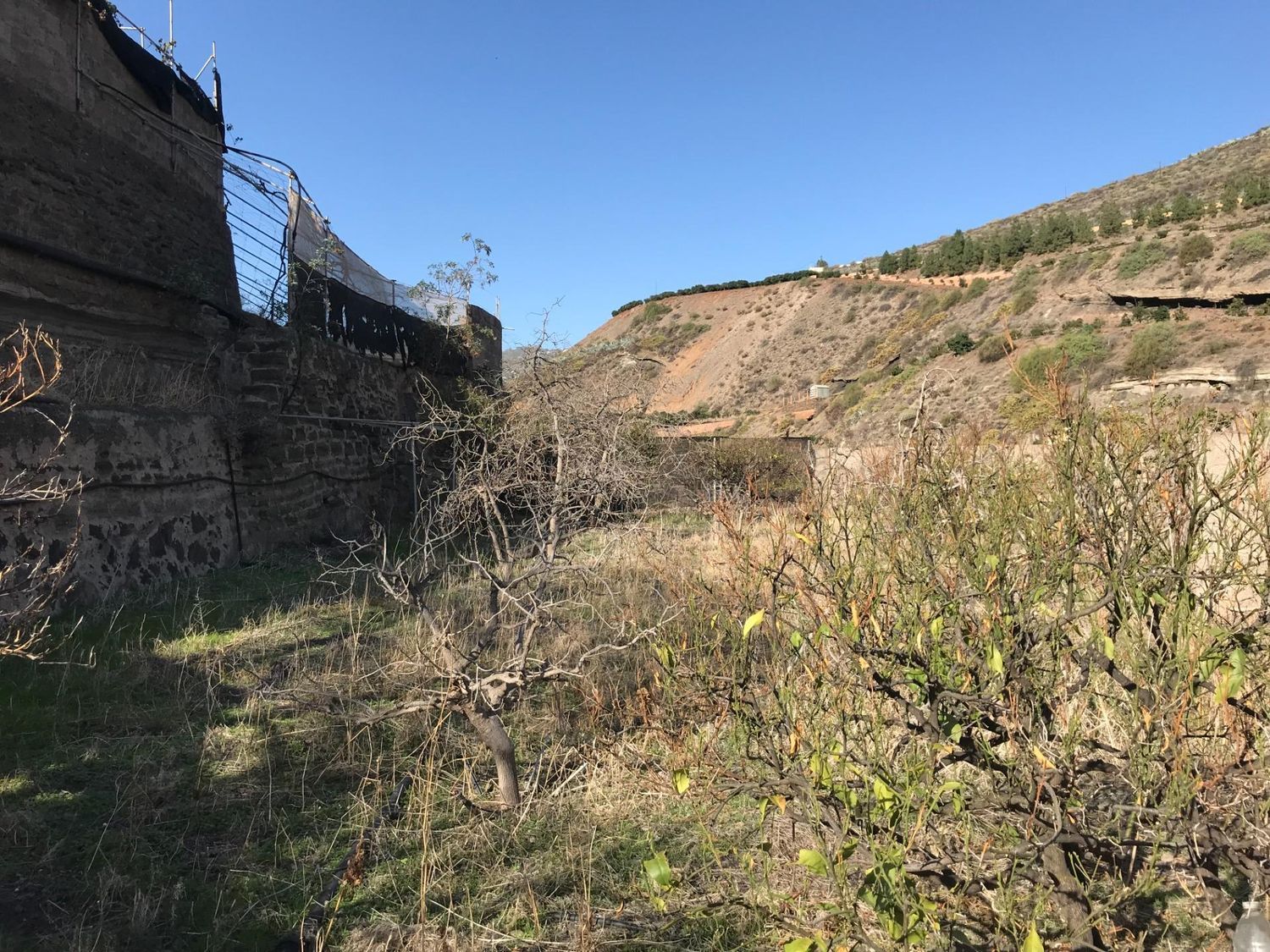 Casas rústicas en Telde — imagen 23