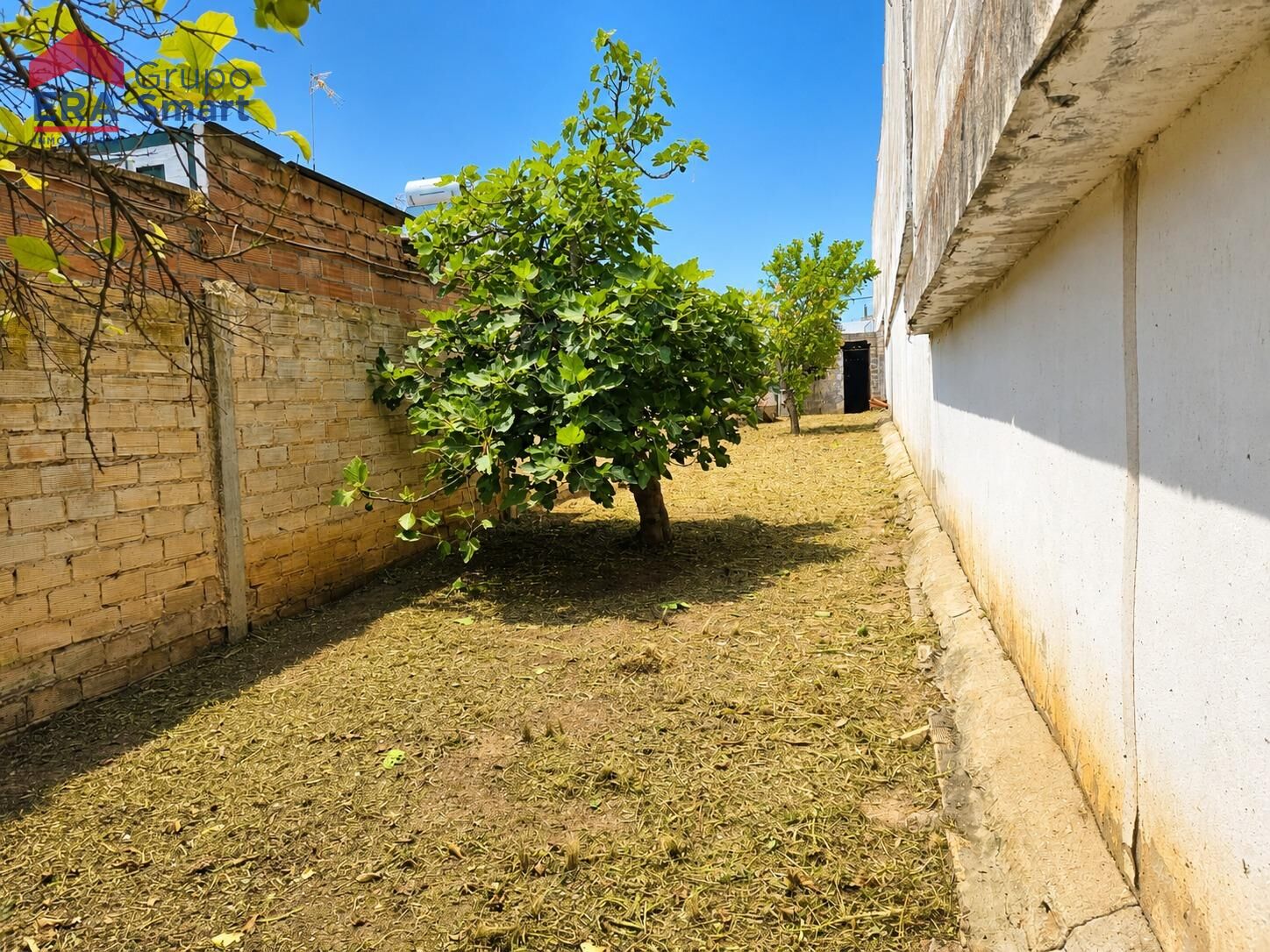 Terrenos en Mairena del Aljarafe, Centro — imagen 10