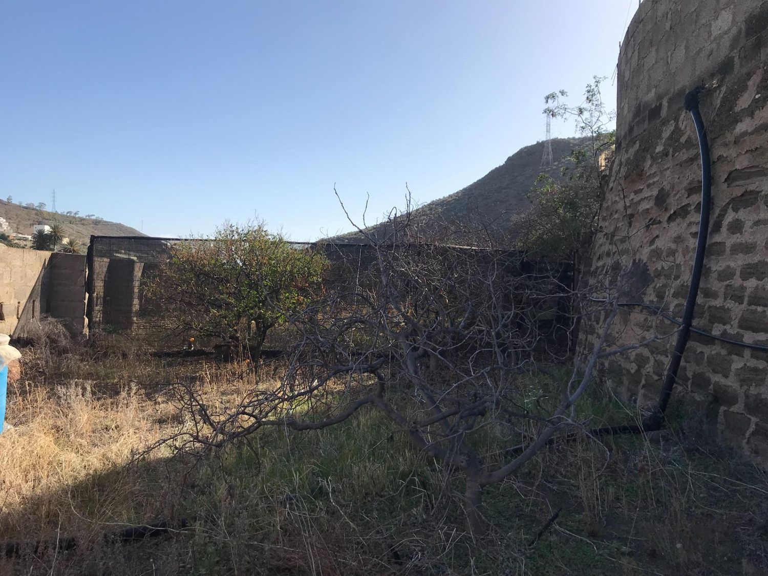 Casas rústicas en Telde — imagen 19