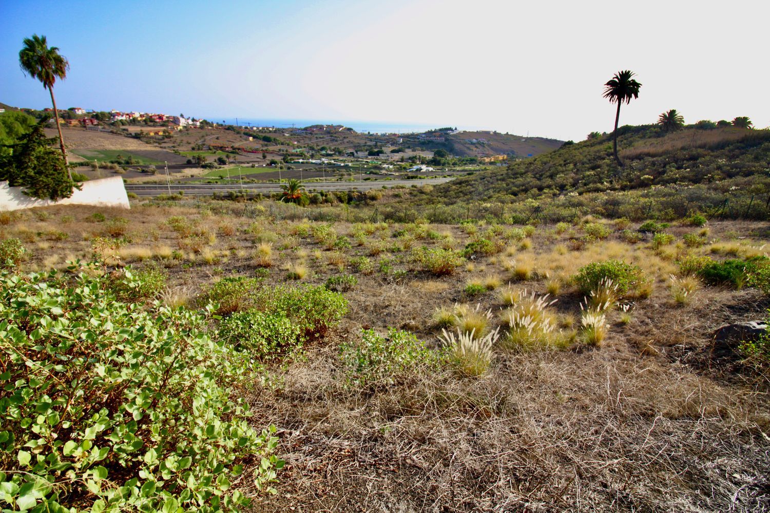 Terrenos en Palmas de Gran Canaria, Las, Tafira — imagen 5