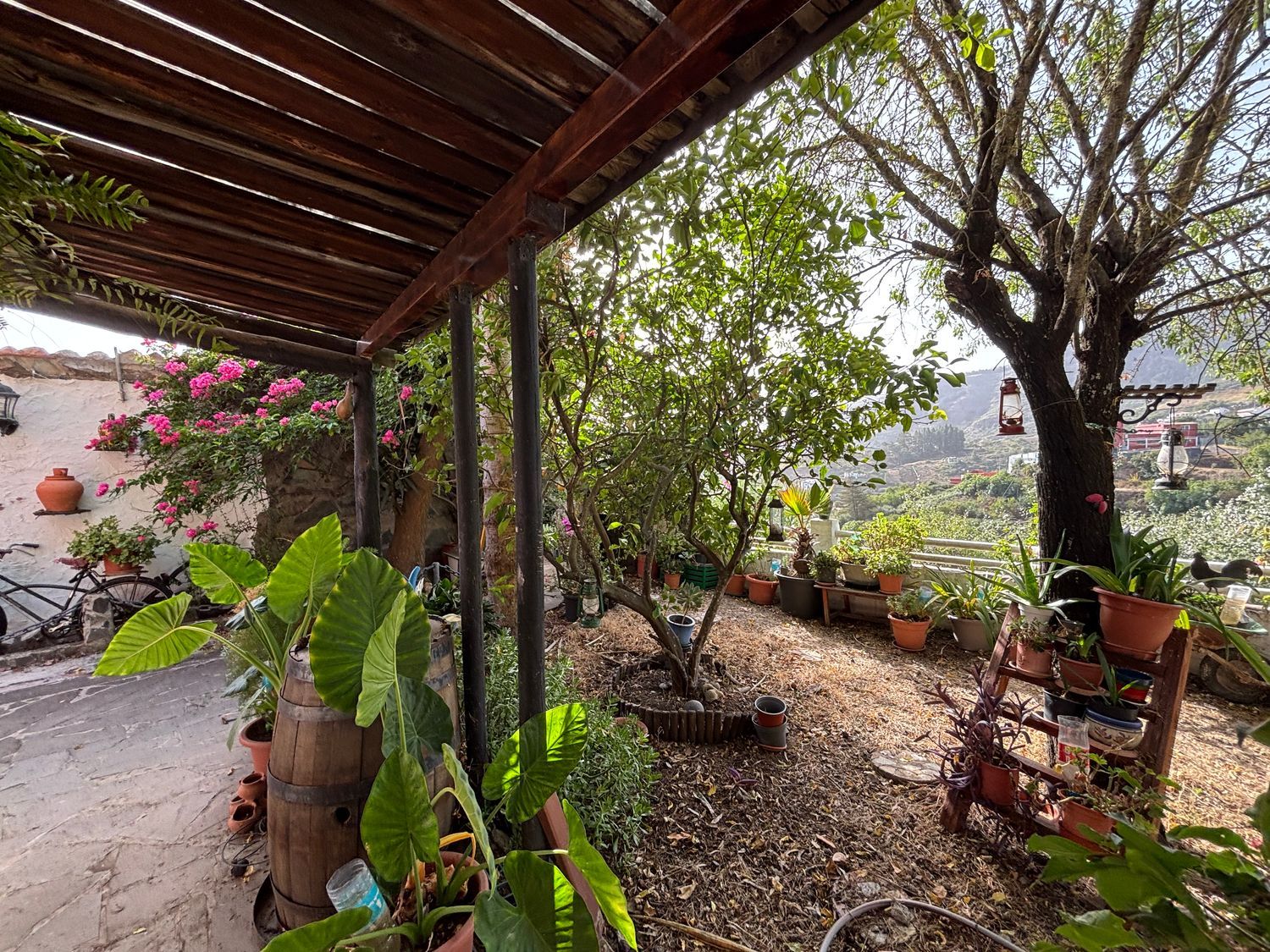 Casas rústicas en Vega de San Mateo — imagen 11