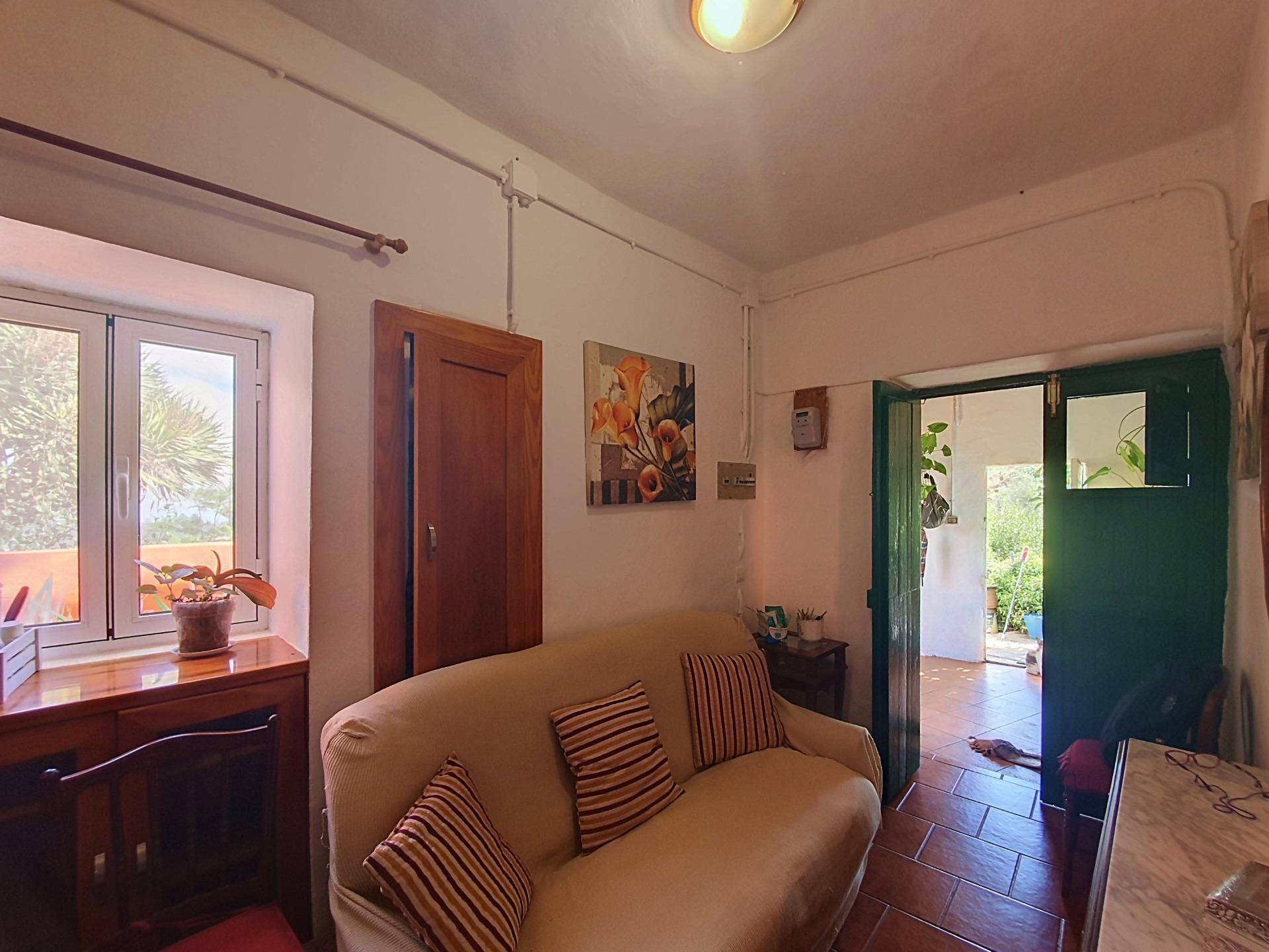 Independientes en Vega de San Mateo, Islas canarias — imagen 7