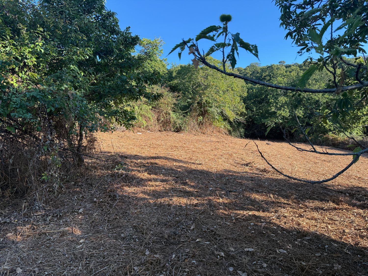 Terrenos en Matanza de Acentejo, La — imagen 5