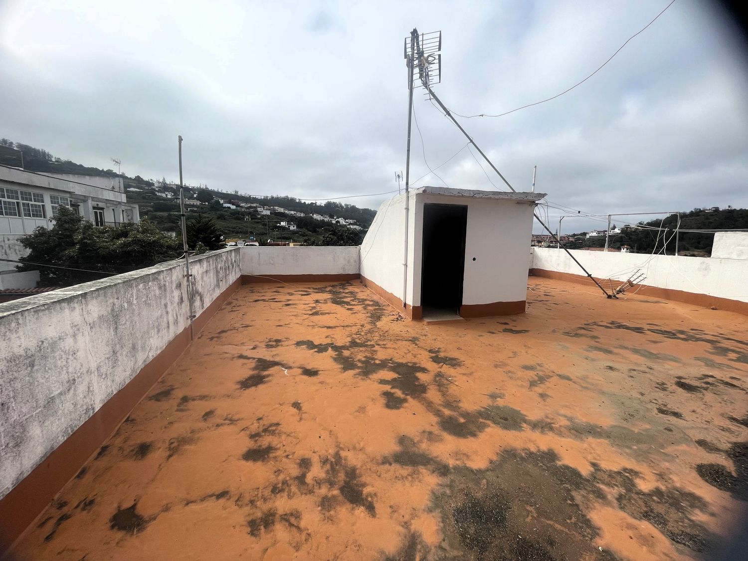 Pareados en Teror — imagen 37