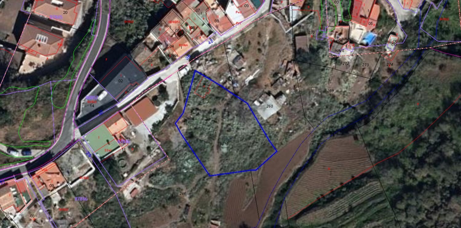 Terrenos en Vega de San Mateo — imagen 24