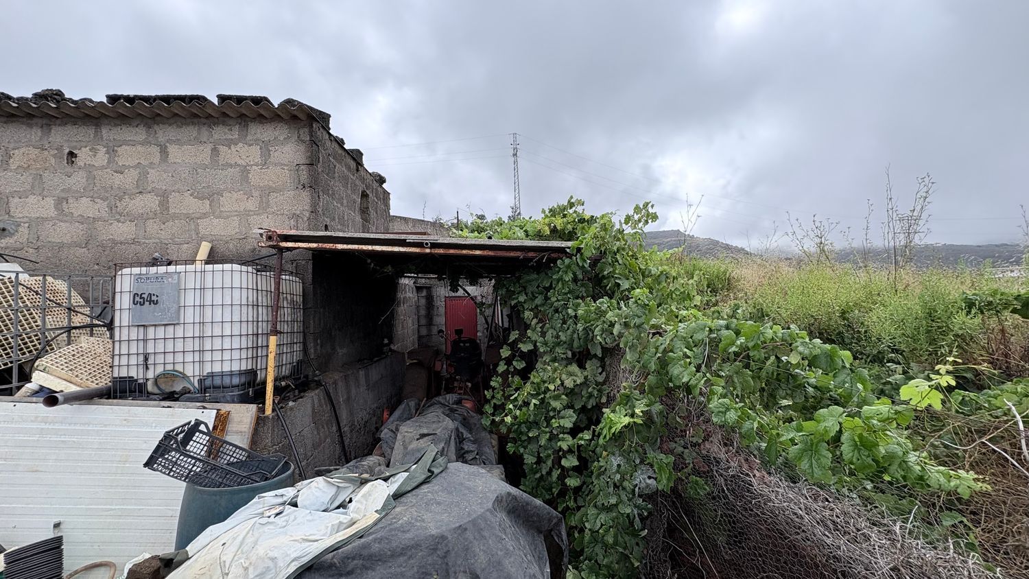 Terrenos en Vega de San Mateo — imagen 11