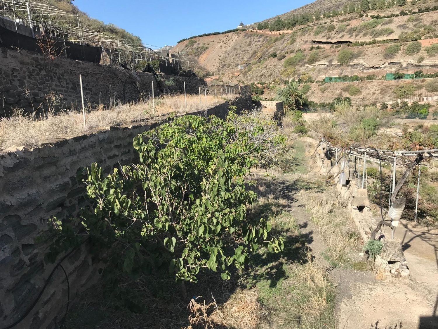 Casas rústicas en Telde — imagen 25