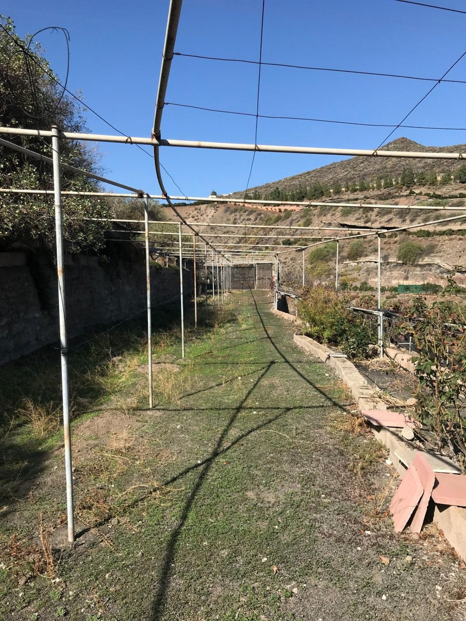 Casas rústicas en Telde — imagen 58