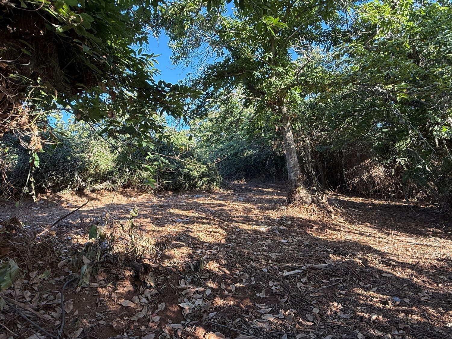 Terrenos en Matanza de Acentejo, La — imagen 2
