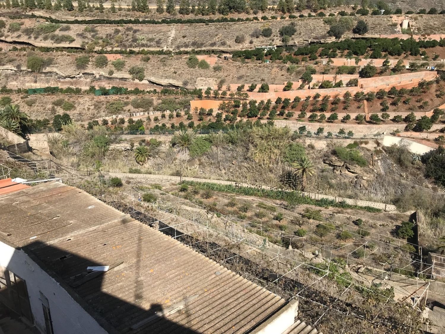 Casas rústicas en Telde — imagen 60