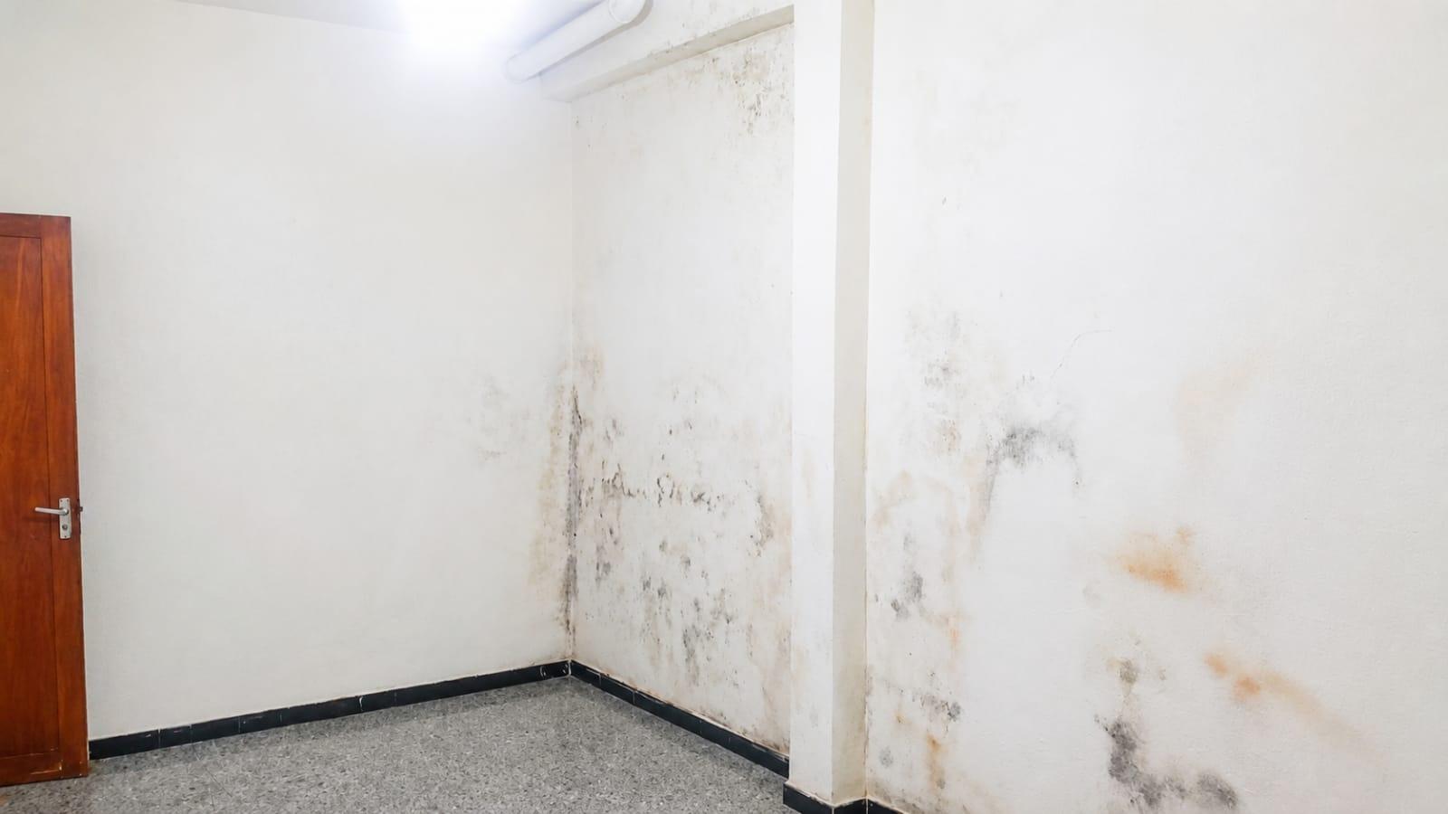 Independientes en Teror — imagen 12