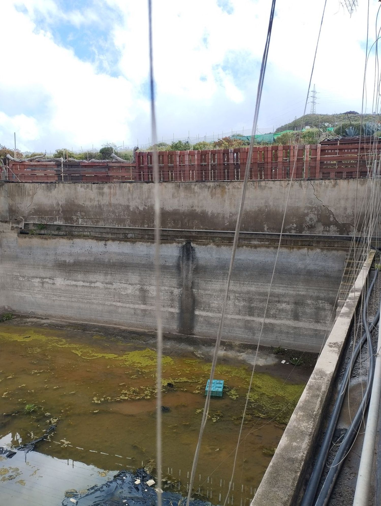 Terrenos en Telde — imagen 11