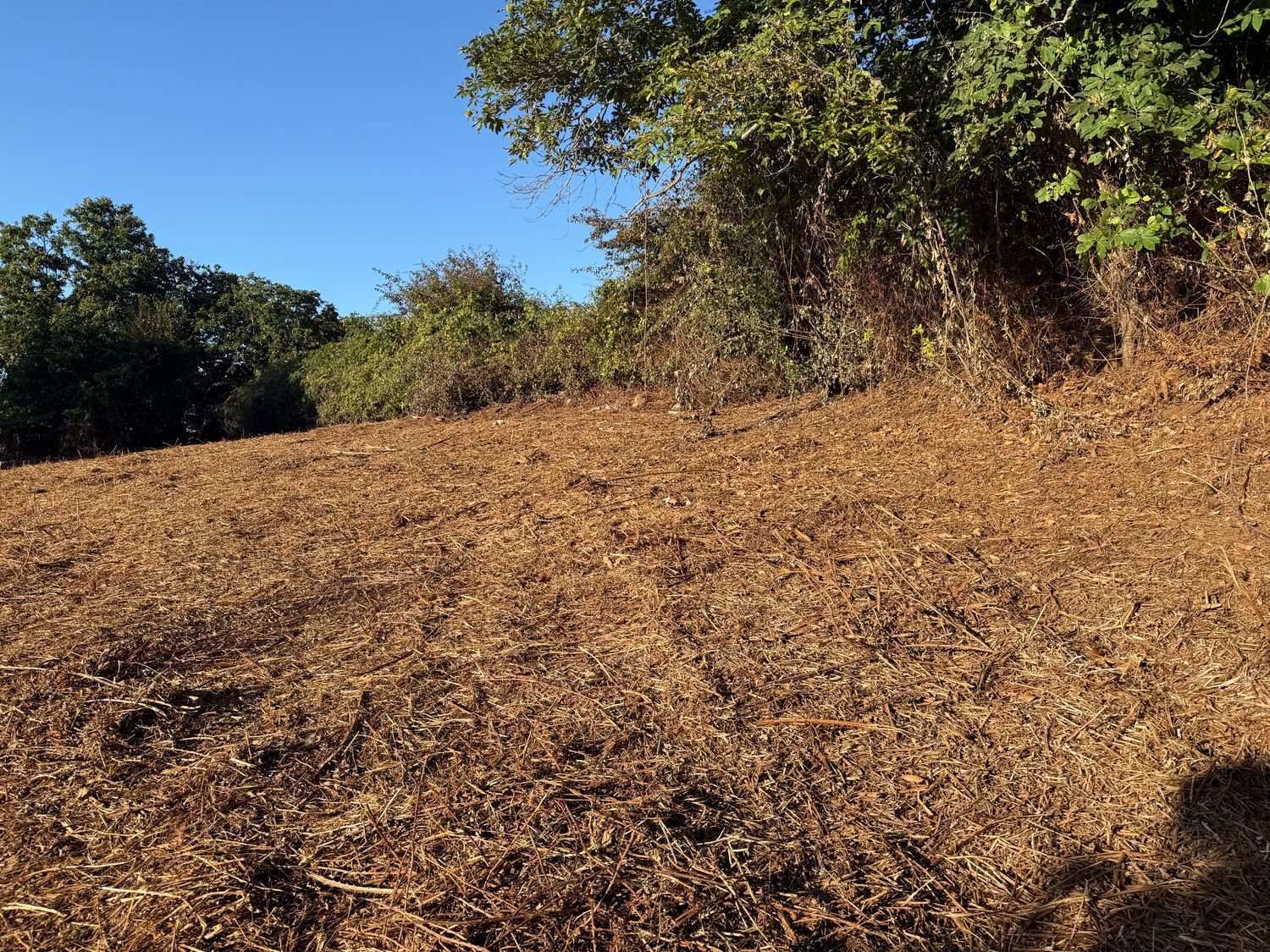 Terrenos en Matanza de Acentejo, La — imagen 18