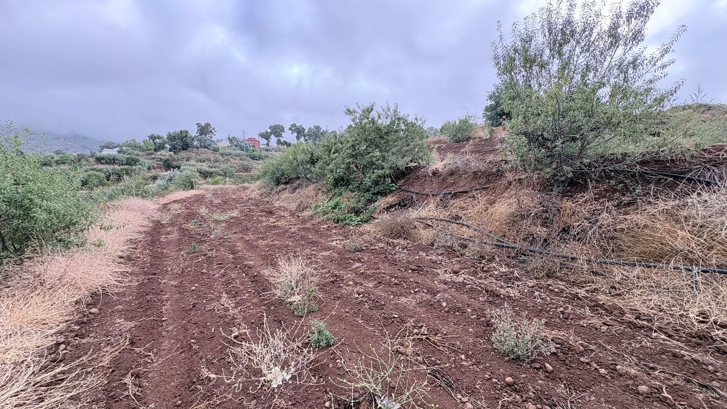 Terrenos en Vega de San Mateo — imagen 7