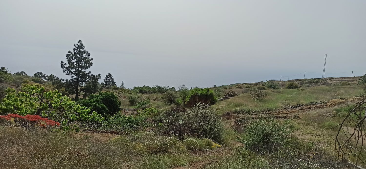 Terrenos en Fasnia — imagen 5
