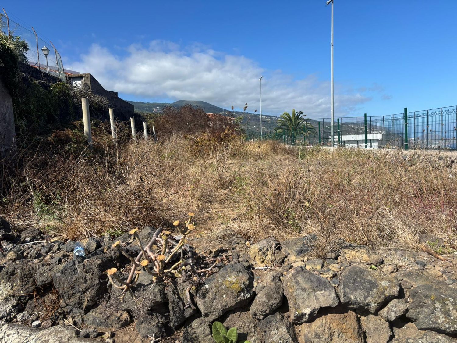 Terrenos en Icod de los Vinos — imagen 2