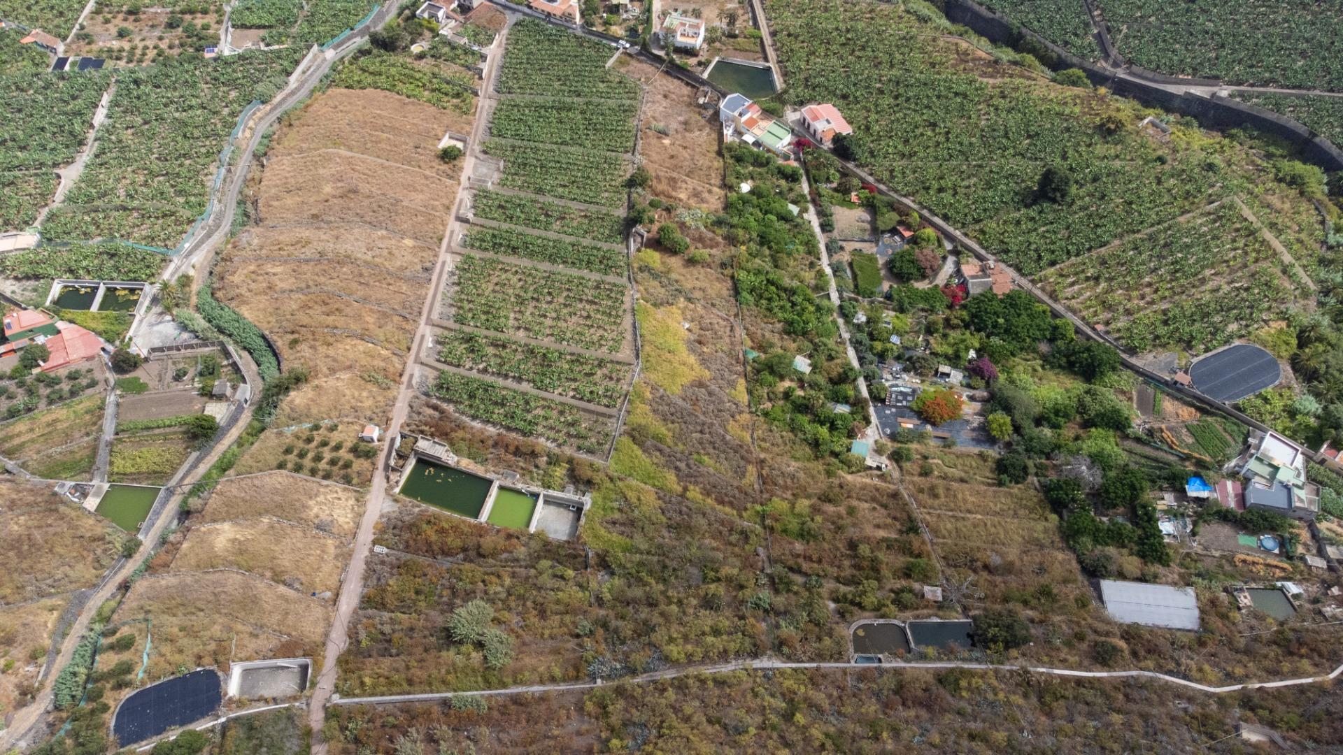 Casas rústicas en Silos, Los, Zona Centro — imagen 8