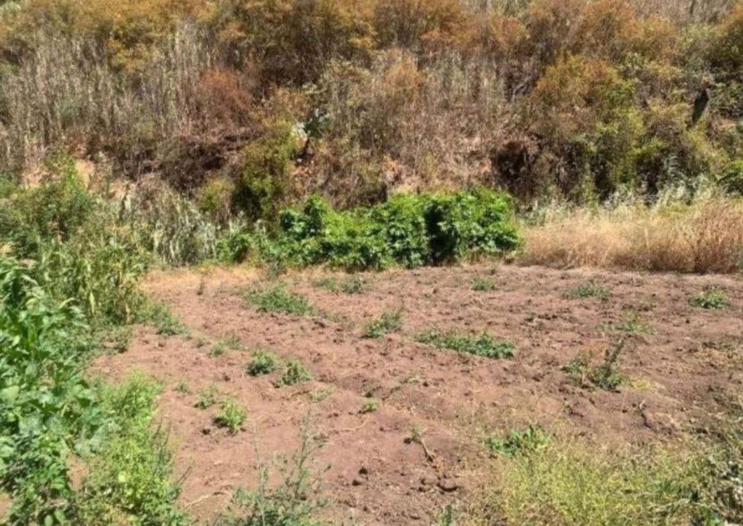 Terrenos en Palmas de Gran Canaria, Las, San Lorenzo — imagen 5