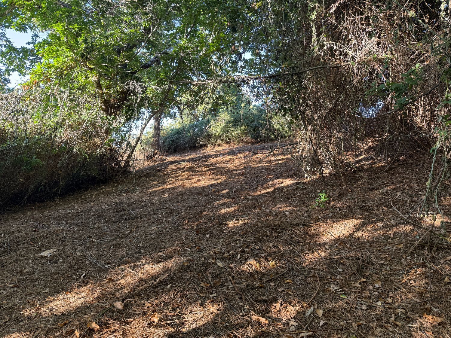 Terrenos en Matanza de Acentejo, La — imagen 16