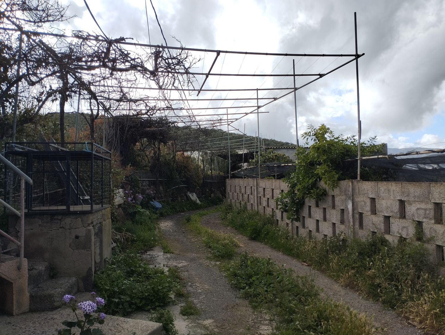 Terrenos en Telde — imagen 18