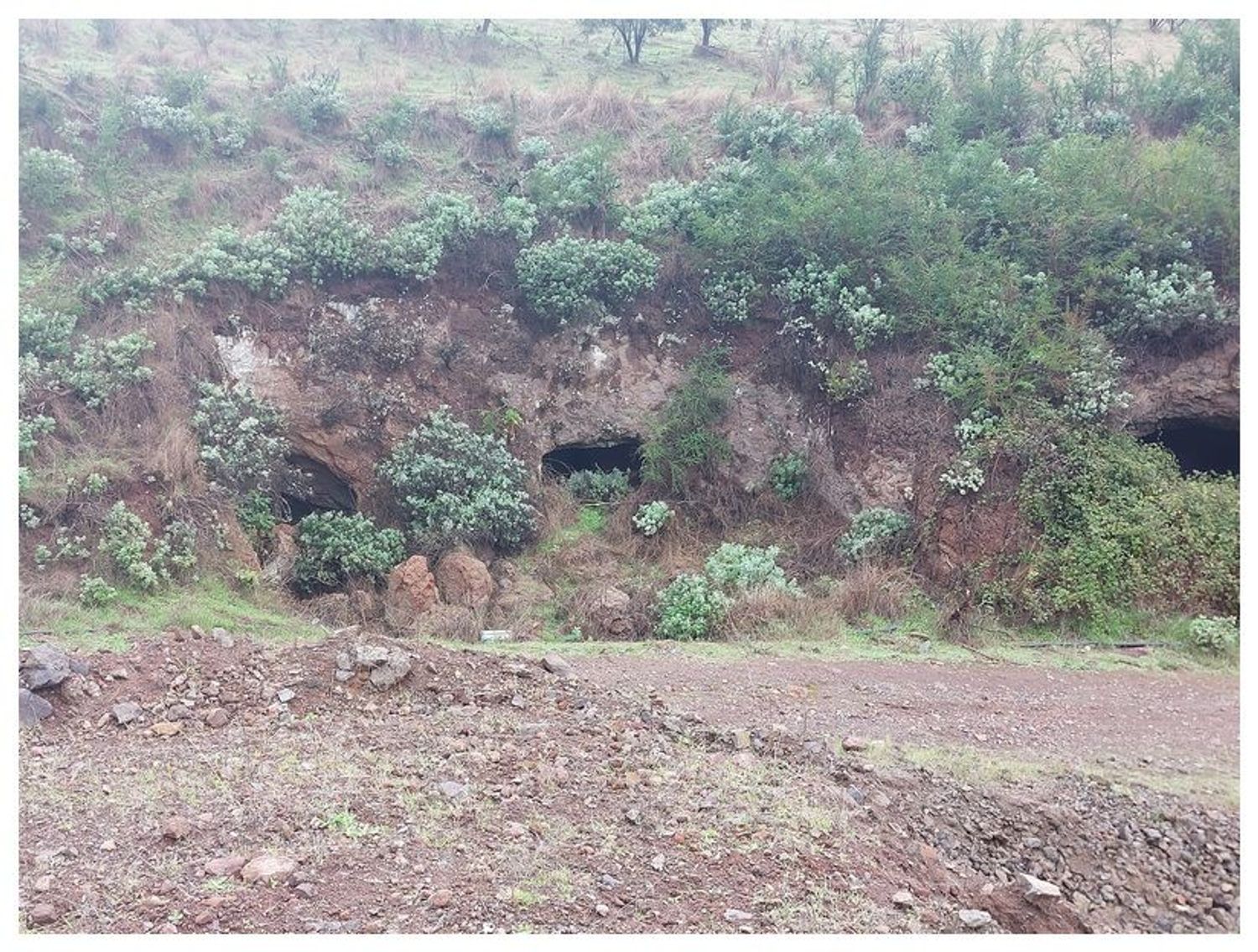 Terrenos en Moya — imagen 16