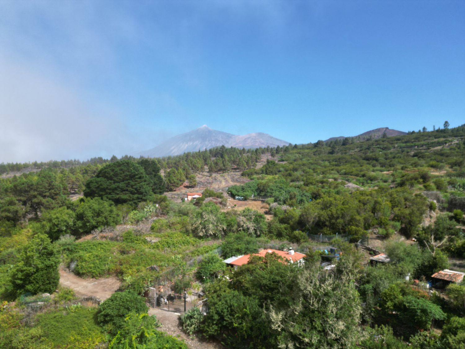 Terrenos en Tanque, El — imagen 2