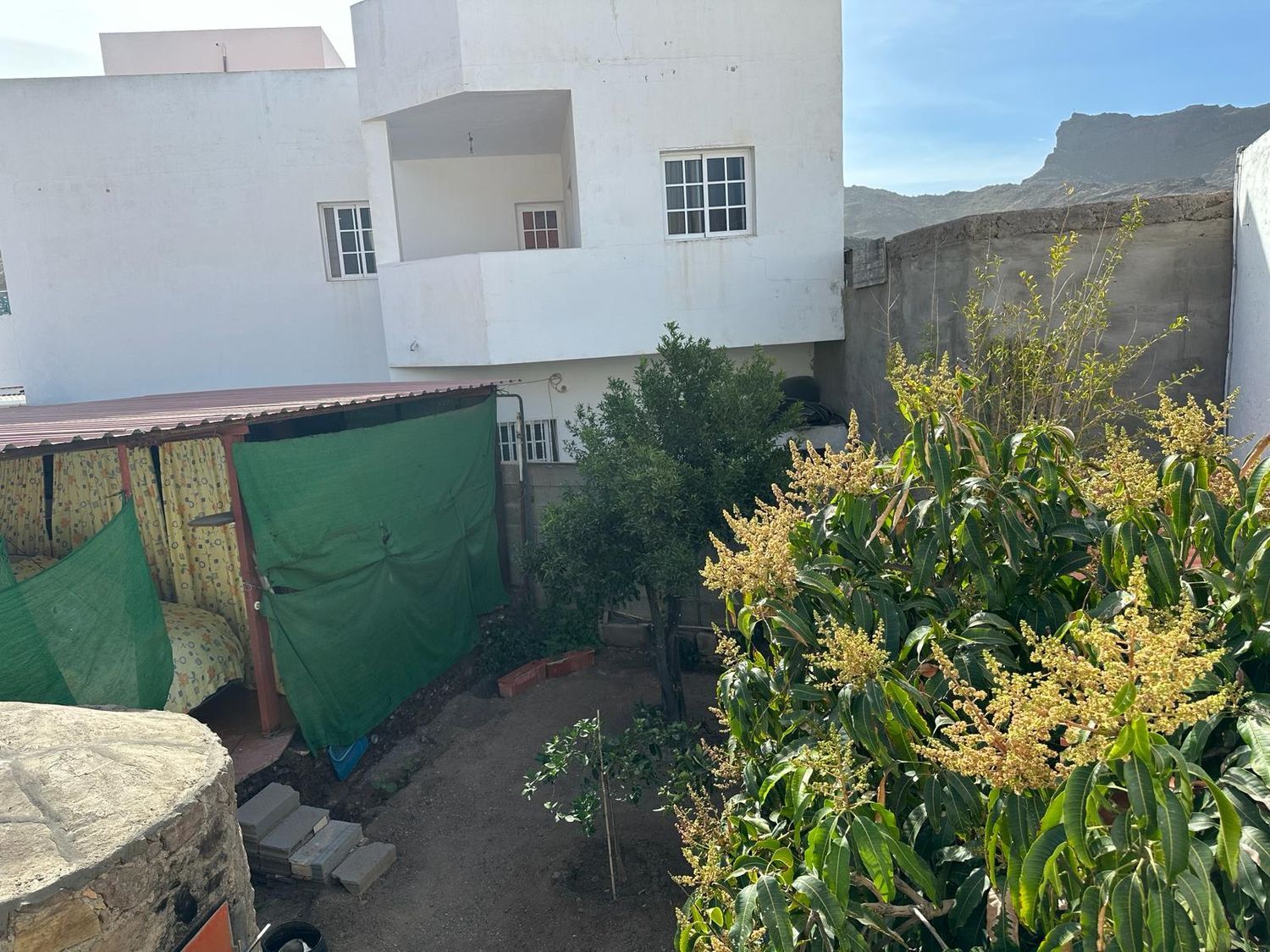 Pareados en Mogán — imagen 31
