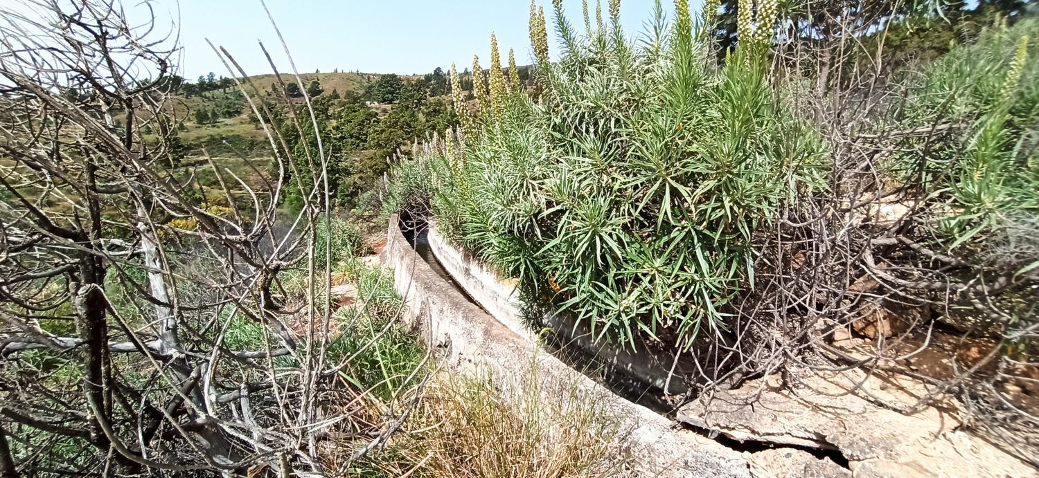 Terrenos en Fasnia — imagen 34