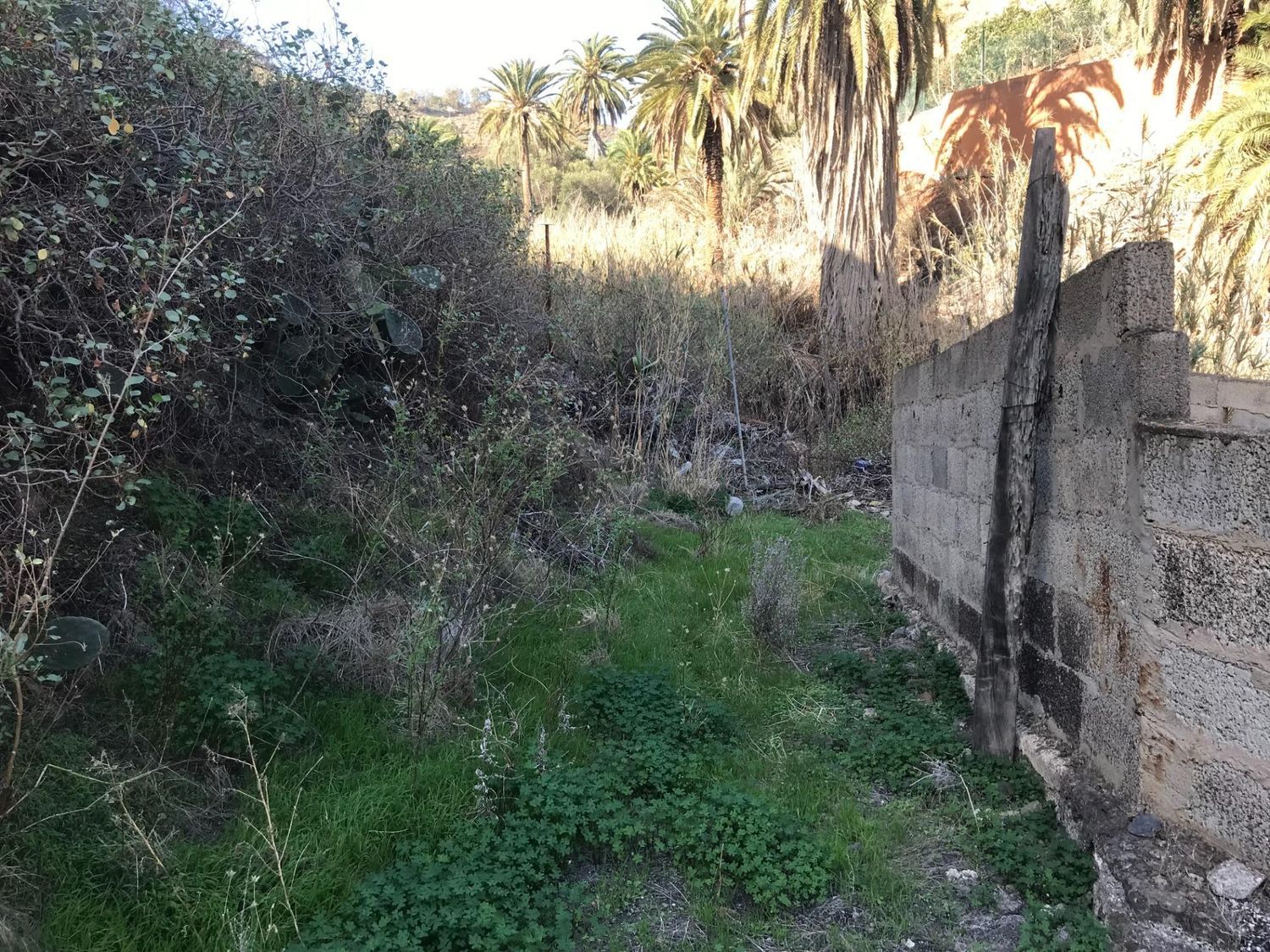 Casas rústicas en Telde — imagen 30