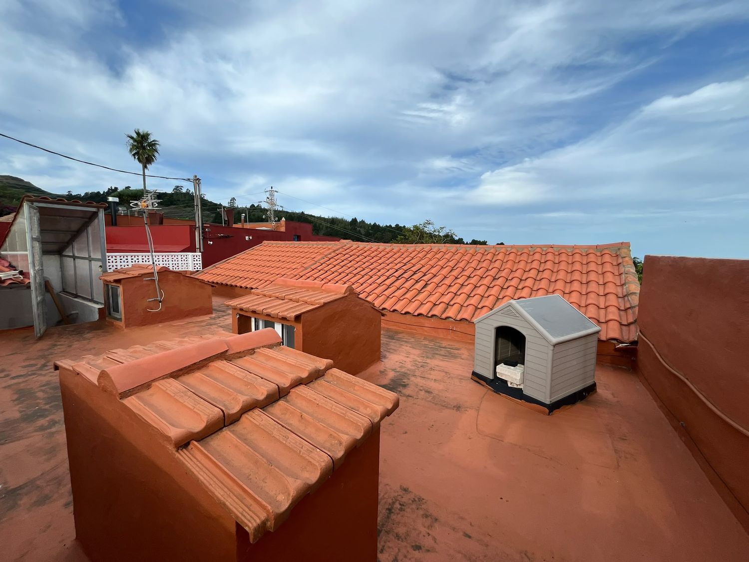 Independientes en Santa María de Guía de Gran Canaria — imagen 15