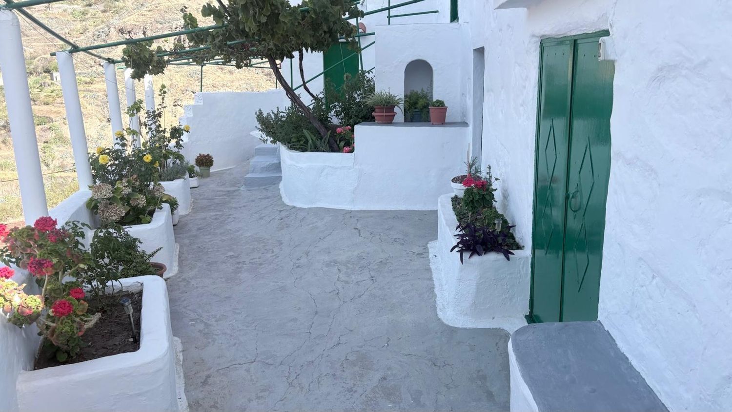 Pareados en Tejeda — imagen 2