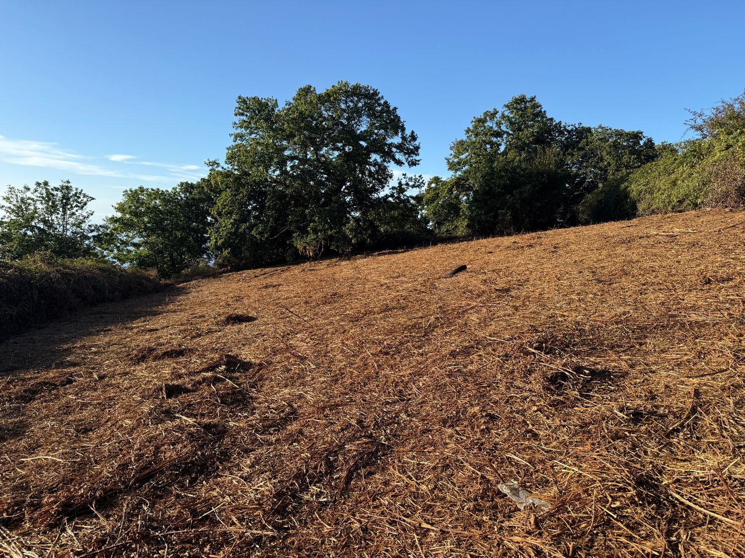 Terrenos en Matanza de Acentejo, La — imagen 8
