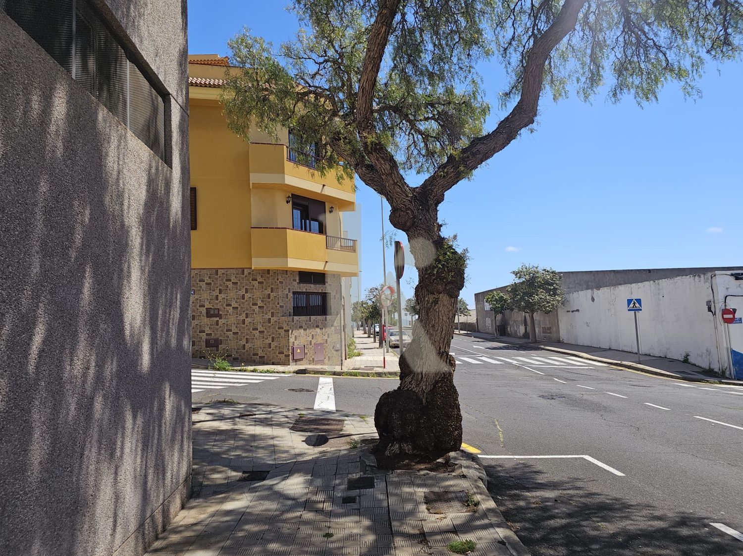 Locales o naves en Sobradillo — imagen 4
