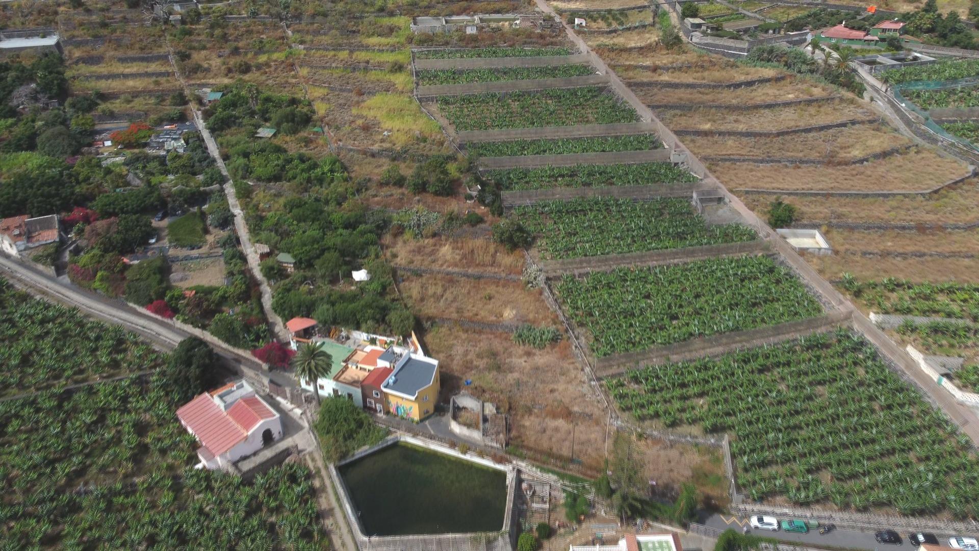 Casas rústicas en Silos, Los, Zona Centro — imagen 11