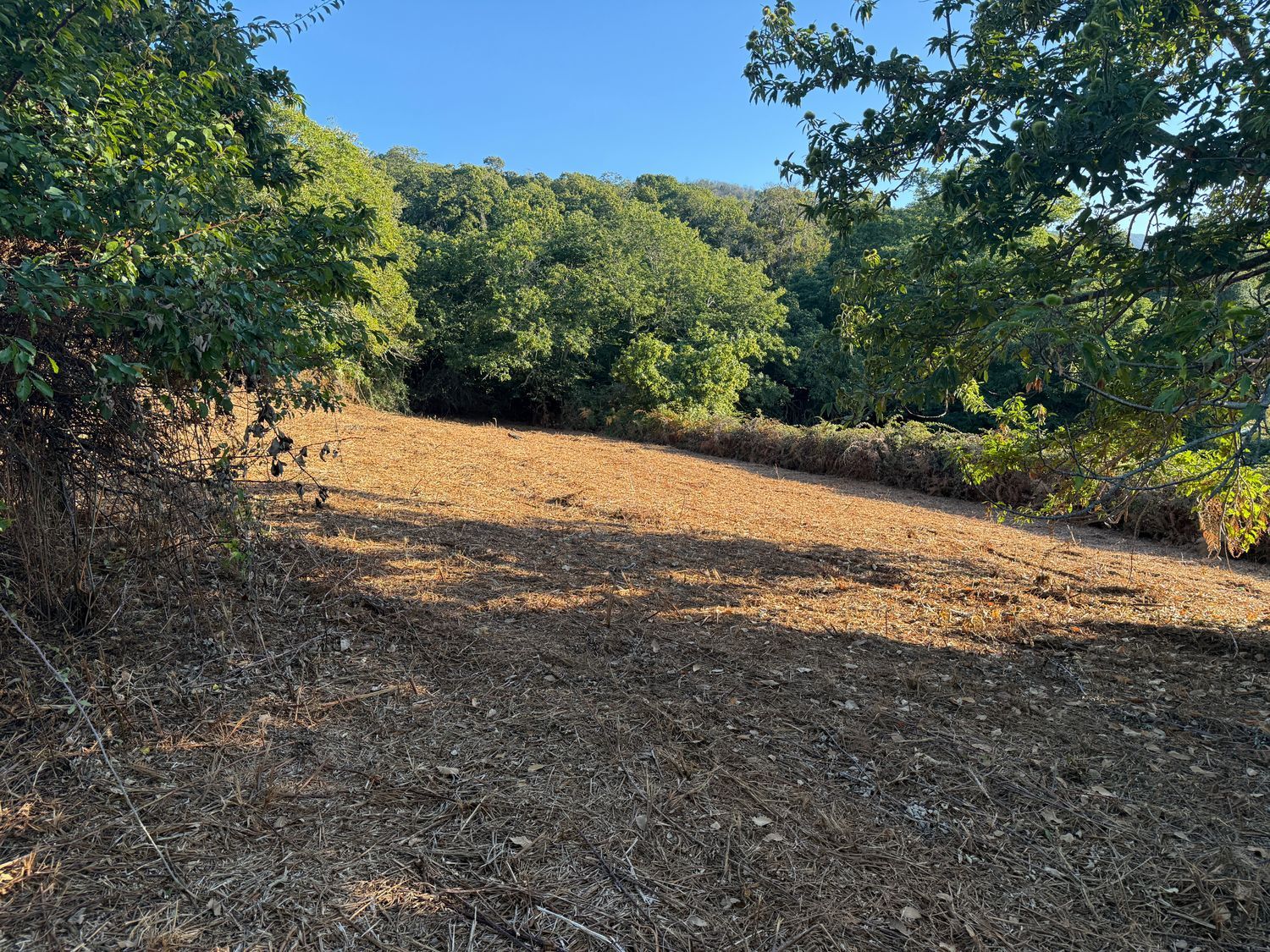 Terrenos en Matanza de Acentejo, La — imagen 9
